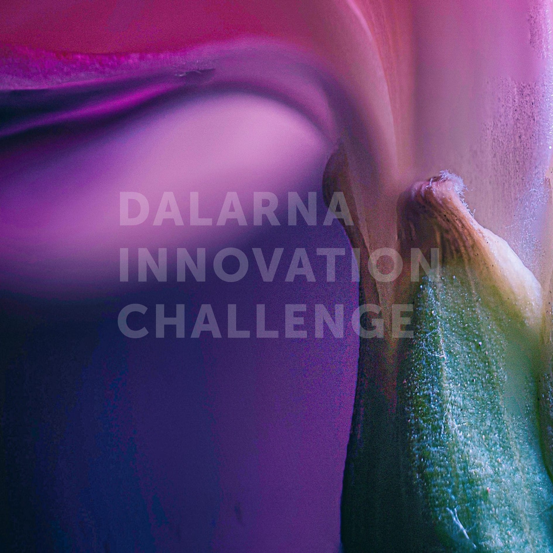 Tävla i Dalarna Innovation Challenge