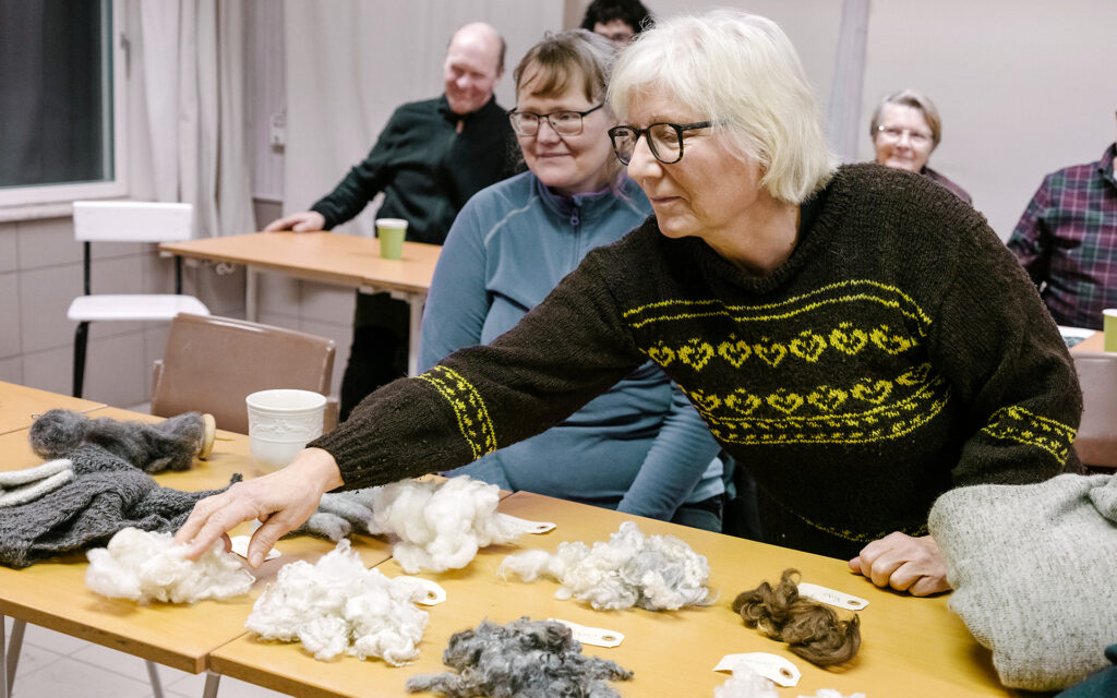 Workshop i ullsortering i Rättvik 2026.